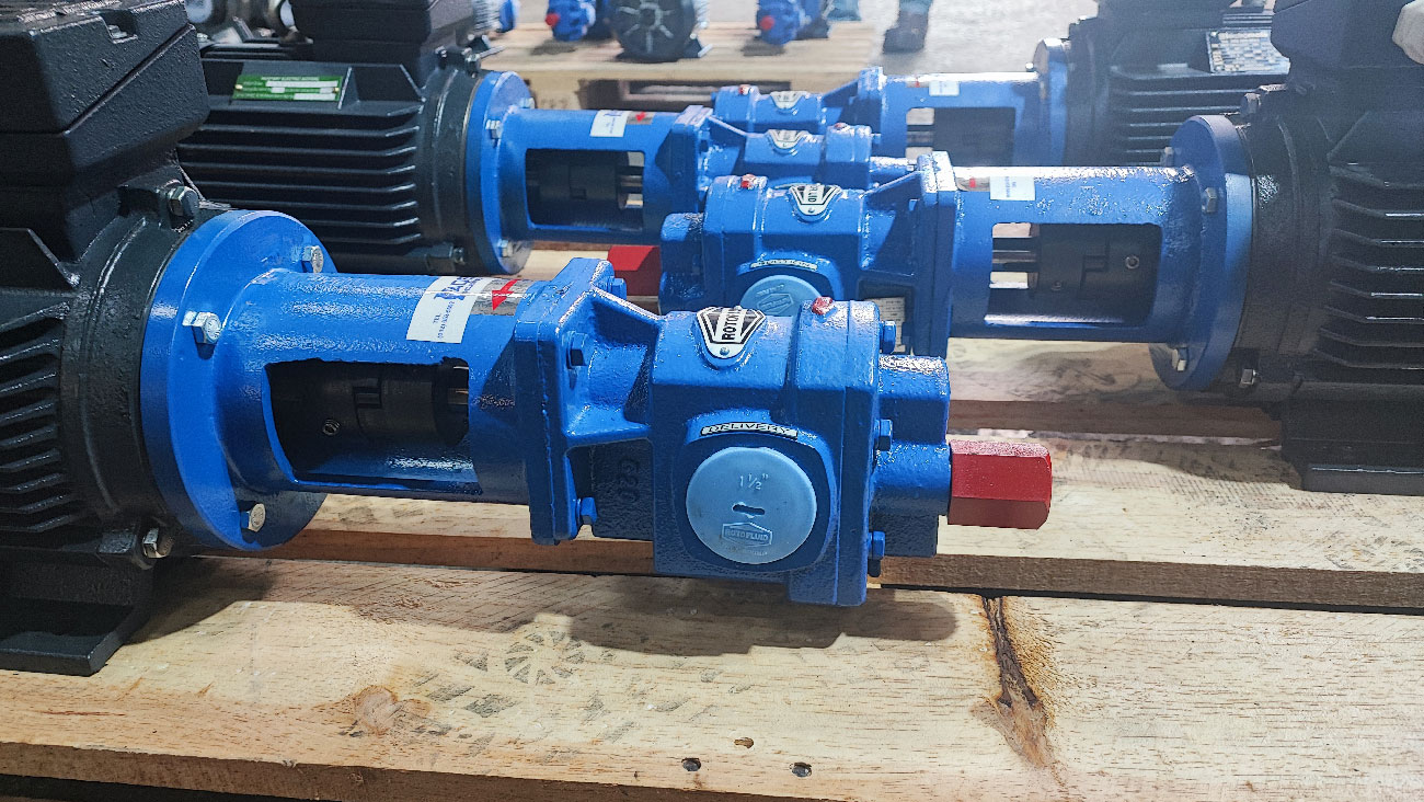 IMG_20250320_120221a